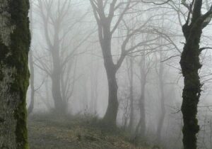 فوت کوهنورد لاهیجانی در مسیر «جنگل تاریک»