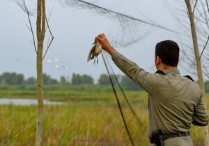 جمع آوری ادوات شکار در شهرستان لاهیجان