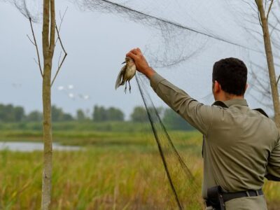 جمع آوری ادوات شکار در شهرستان لاهیجان