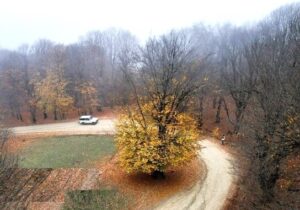 هوای گیلان امروز و فردا در بیشتر ساعات پایدار است