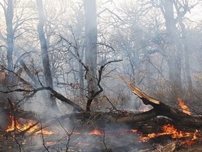 هشدار آتش سوزی در عرصه های طبیعی گیلان