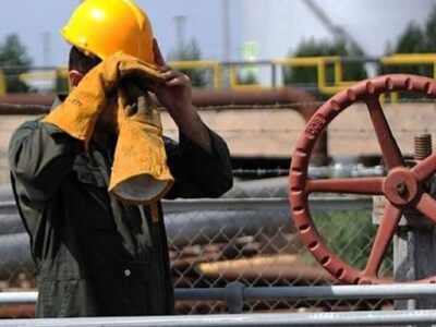 ۲۸۵ هزار کارگر بیمه شده اجباری در گیلان داریم