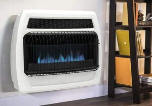 بیش از ۶ میلیارد متر مکعب گاز در گیلان مصرف شد