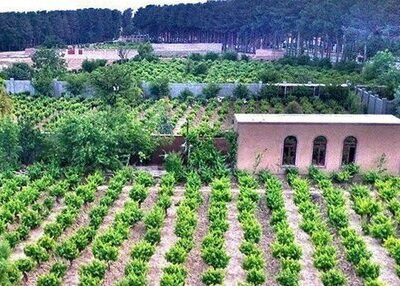 توزیع بیش از ۲۸ هزار تن کود کشاورزی در گیلان