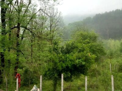 رفع تصرف ۱۷ هزارمترمربع زمین ملی در شهرستان سیاهکل